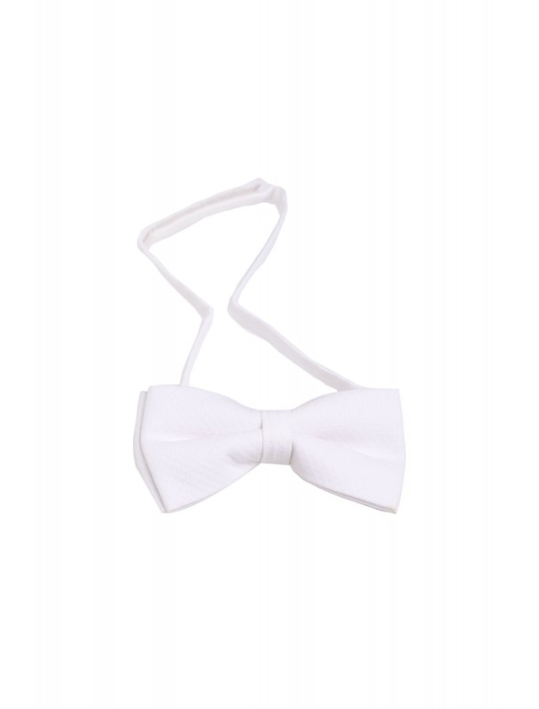 Bow Tie 2