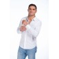 Camicia
